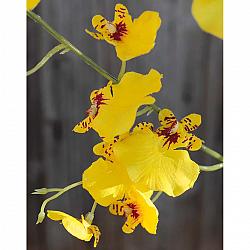 Künstliche Orchidee Oncidium, getopft, 99 cm, gelb