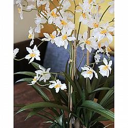 Künstliche Orchidee Oncidium in 'Erde', 2-fach, 66 cm, creme-weiß