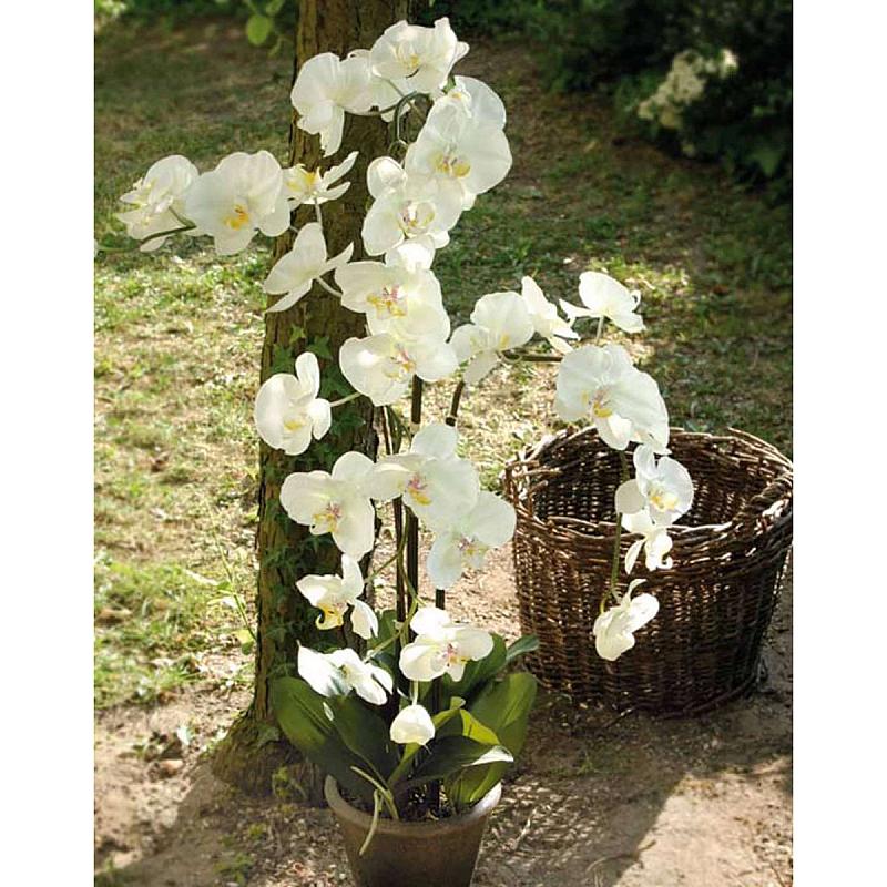 Künstliche Orchidee Phalaenopsis XL, getopft, 115 cm, creme-weiß