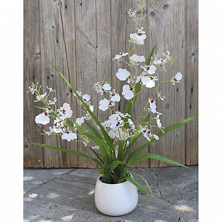 Künstliche Orchidee Oncidium, getopft, 50 cm, creme-weiß
