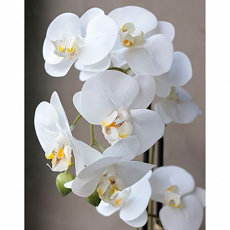 Künstliche Orchidee Phalaenopsis, 2-fach, getopft, 45 cm, Real Touch, creme-weiß